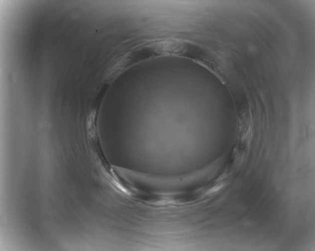 X0000070390239200606091159