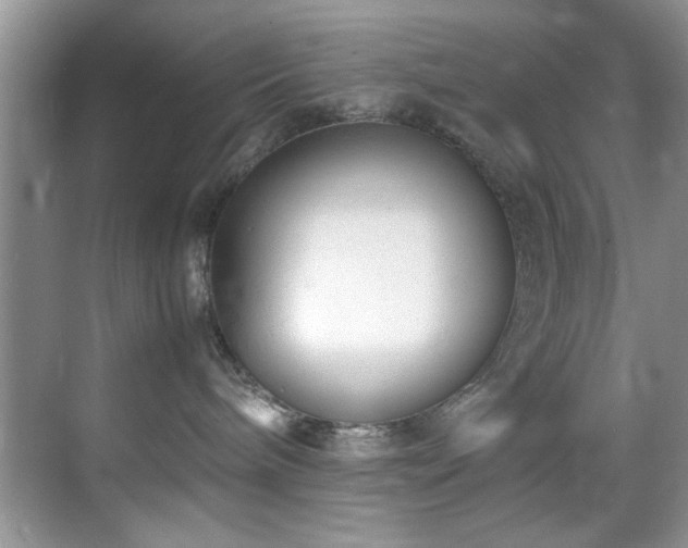 X0000070390240200606091159