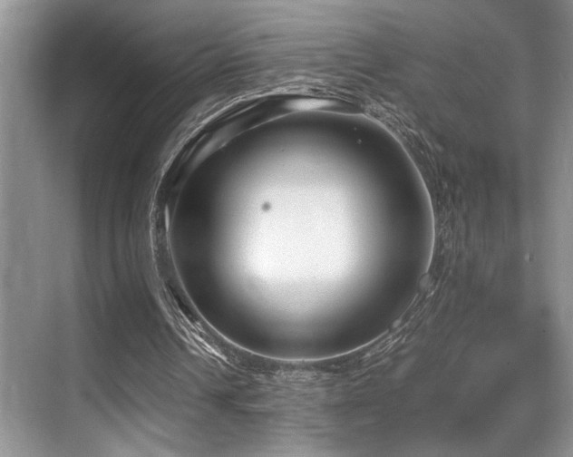 X0000070390242200606091158