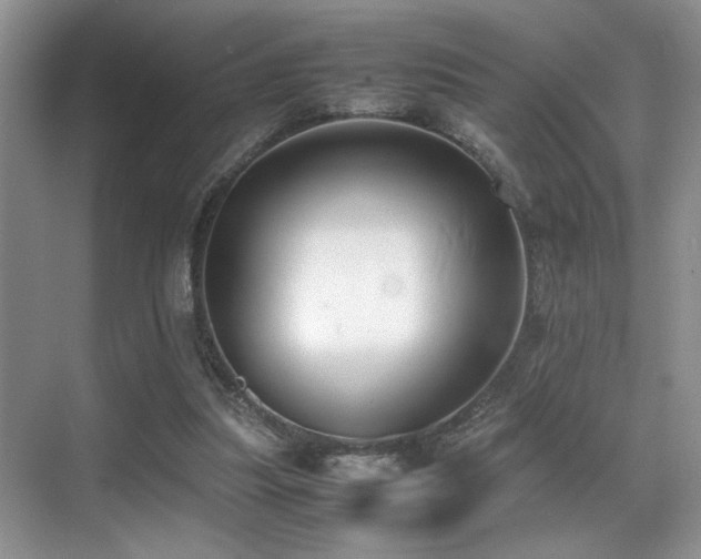 X0000070390251200606091159