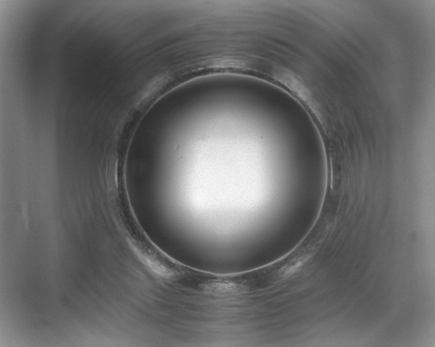 X0000070390253200606091159