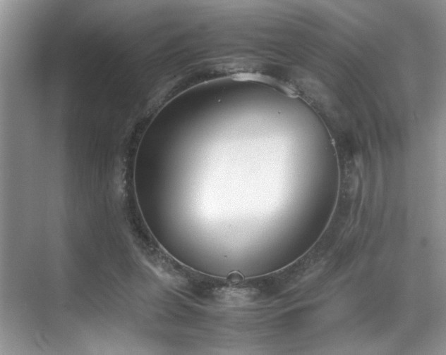 X0000070390255200606091159