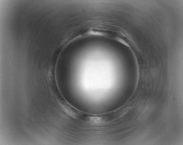 X0000070390265200606091159