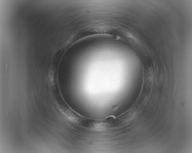 X0000070390268200606091159
