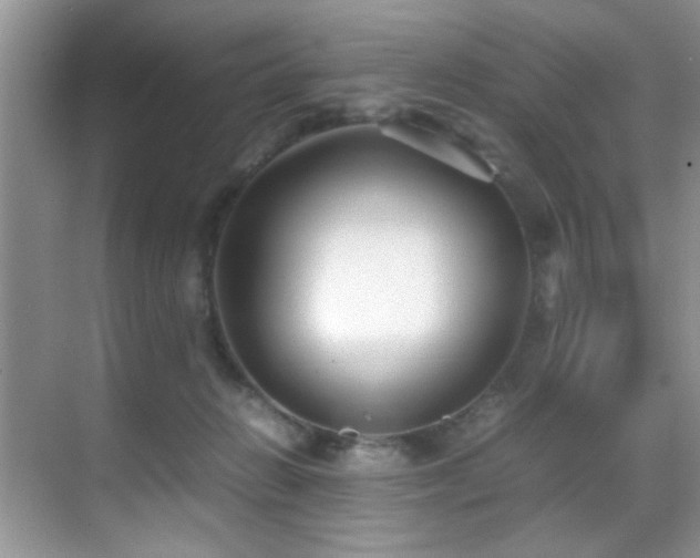 X0000070390270200606091159