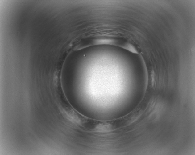 X0000070390271200606091159