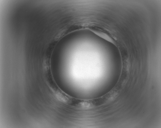 X0000070390272200606091159