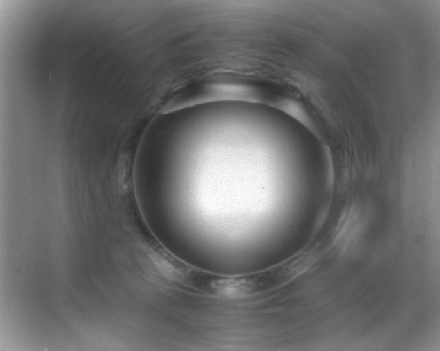 X0000070390273200606091159