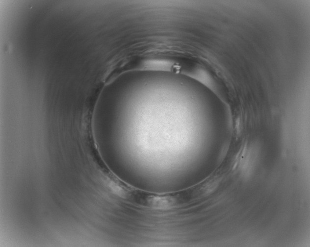 X0000070390277200606091159