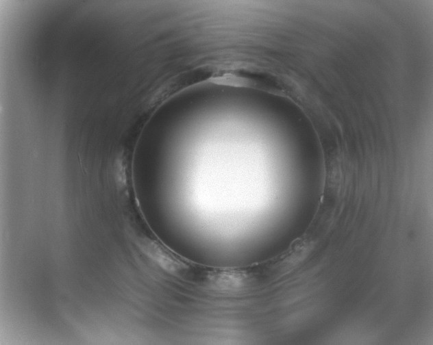 X0000070390282200606091159