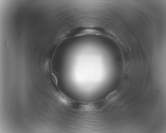 X0000070390286200606091159
