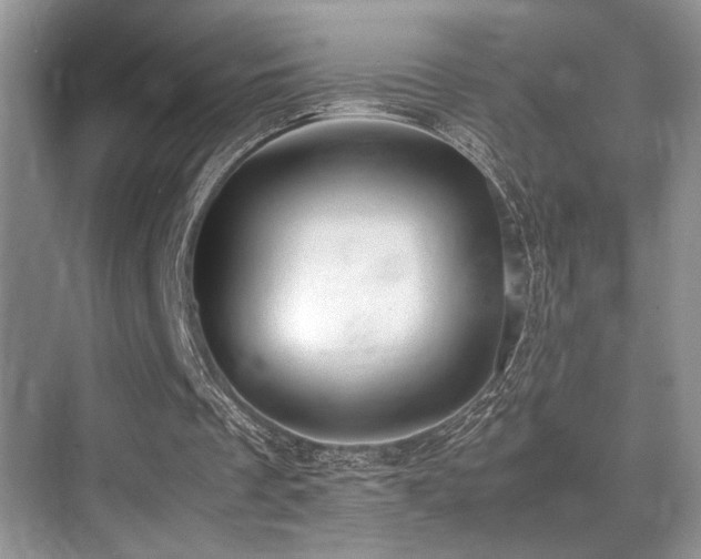 X0000070390289200606091158