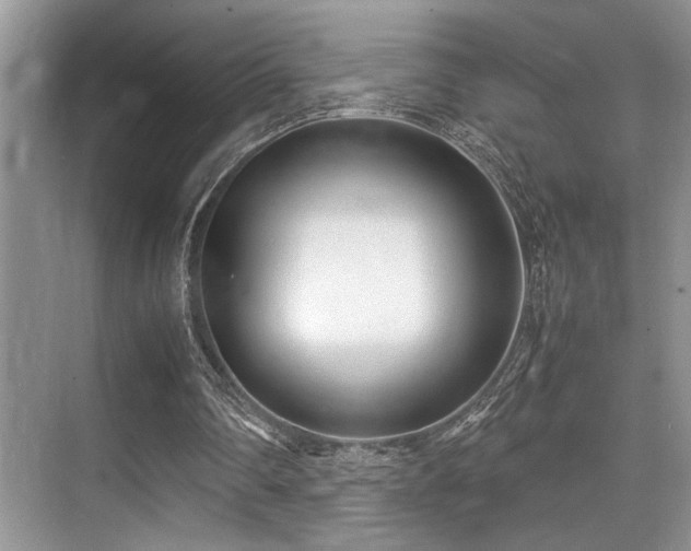 X0000070390290200606091158