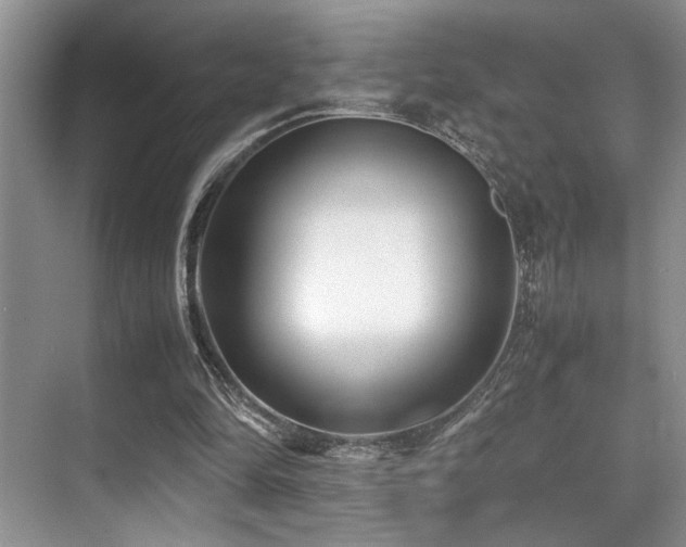 X0000070390294200606091158