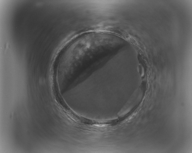 X0000070390295200606091158