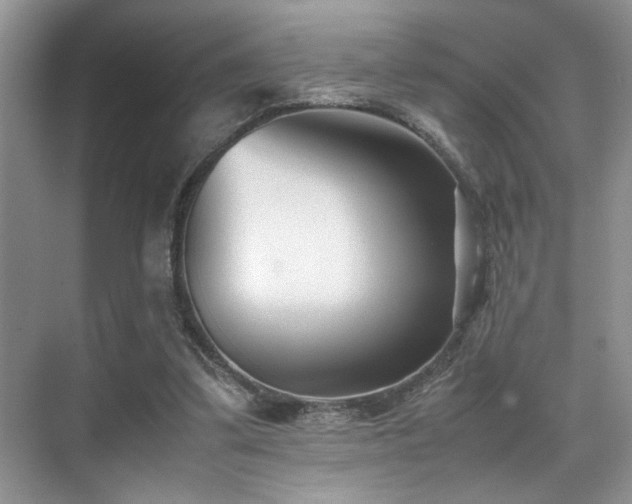 X0000070390299200606091158