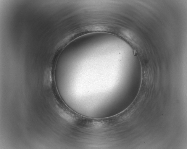 X0000070390302200606091158