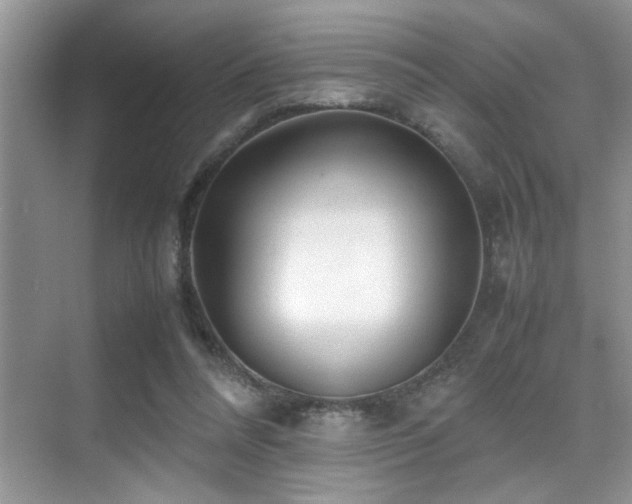 X0000070390304200606091158