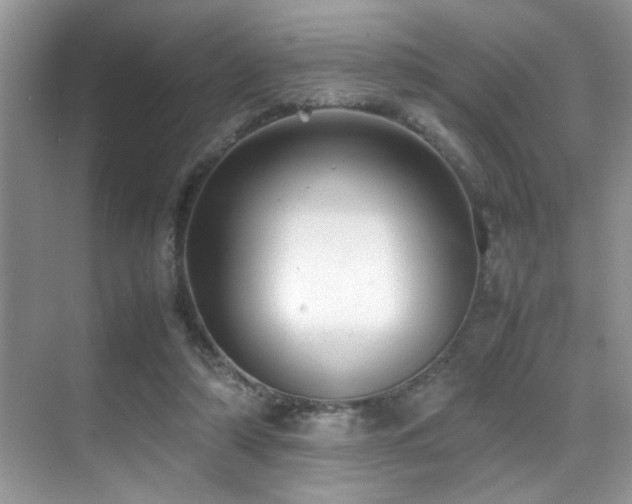 X0000070390306200606091158