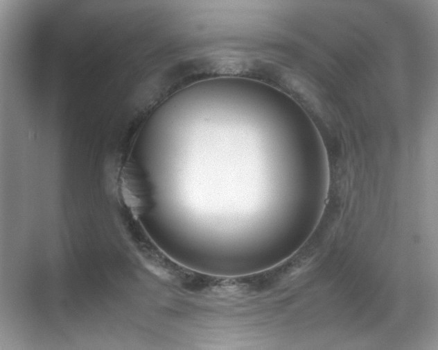 X0000070390307200606091158