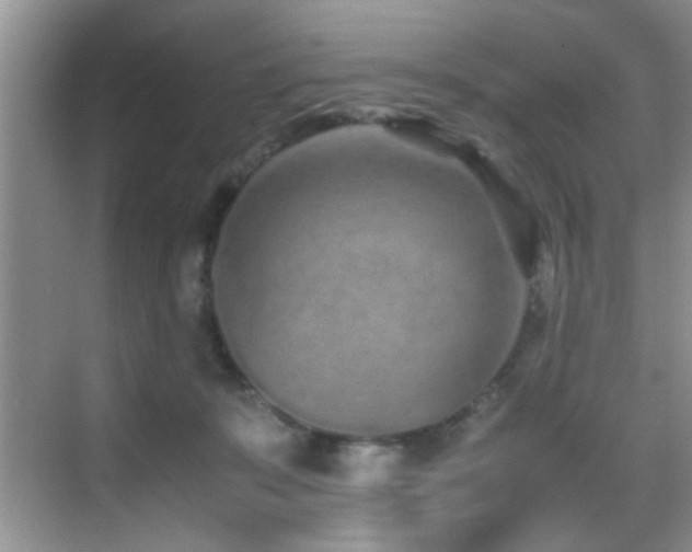 X0000070390319200606091158