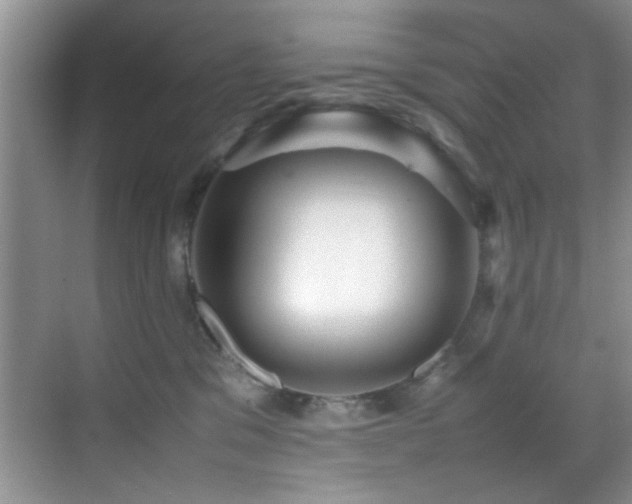 X0000070390329200606091158