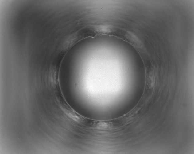 X0000070390330200606091158