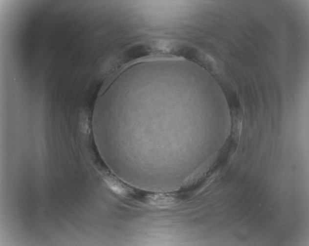 X0000070390331200606091158