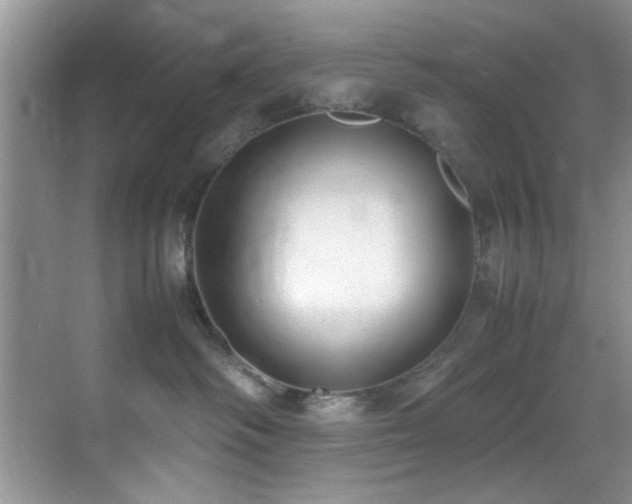 X0000070390334200606091158