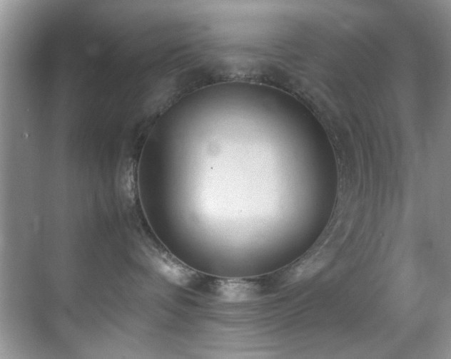 X0000070390336200606091158