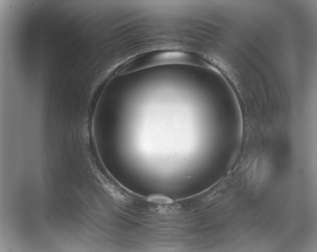 X0000070390345200606091157
