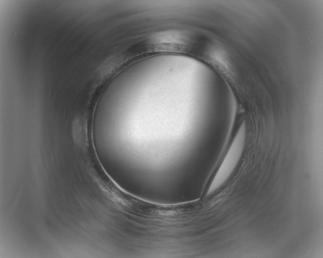 X0000070390349200606091157