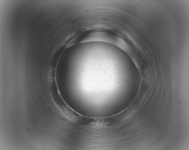 X0000070390356200606091157