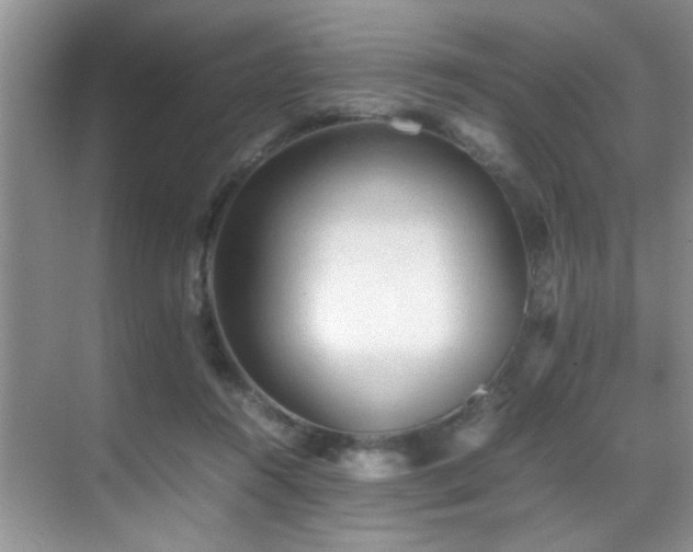 X0000070390360200606091157