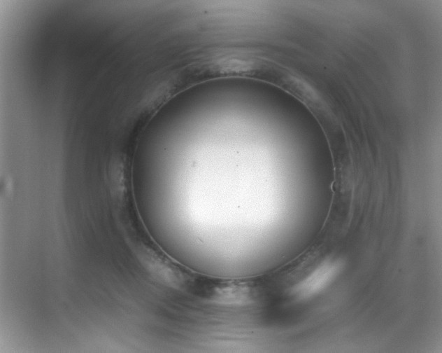 X0000070390362200606091157