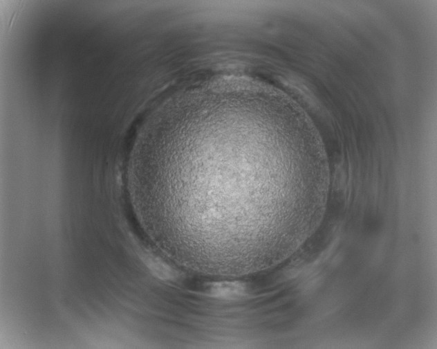 X0000070390363200606091157