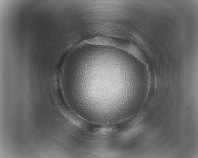 X0000070390366200606091157