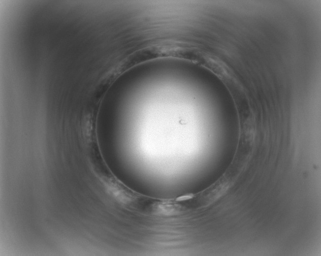X0000070390372200606091157