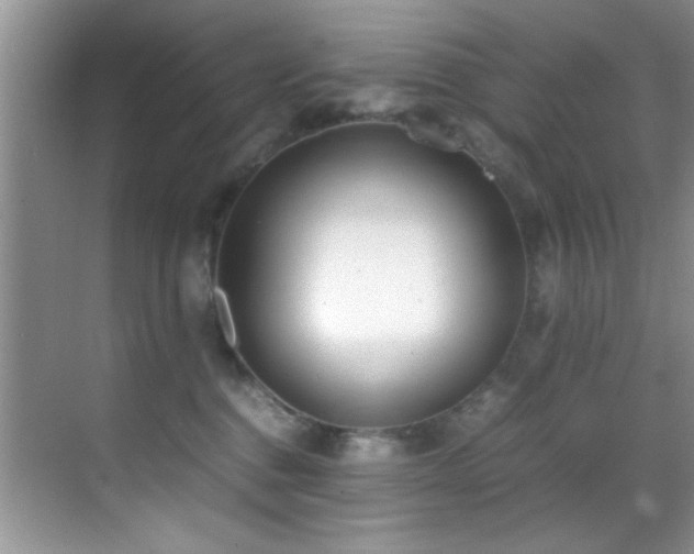 X0000070390376200606091158