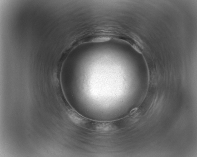 X0000070390377200606091158