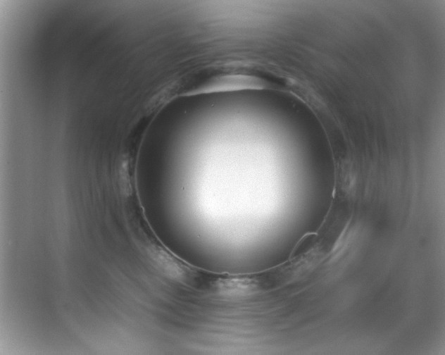 X0000070390378200606091158