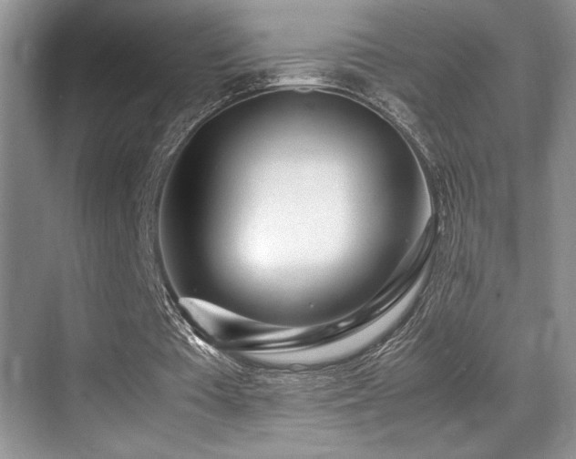 X0000070390385200606091157