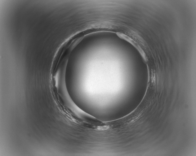 X0000070390388200606091157