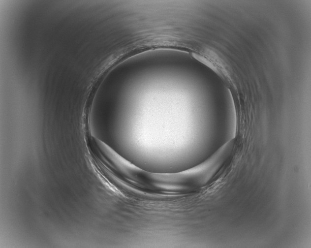 X0000070390389200606091157