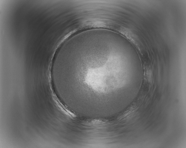 X0000070390390200606091157