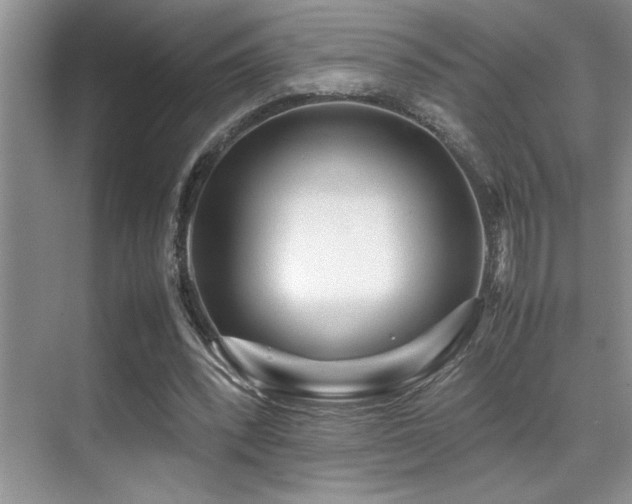 X0000070390392200606091157