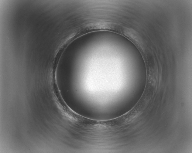 X0000070390394200606091157