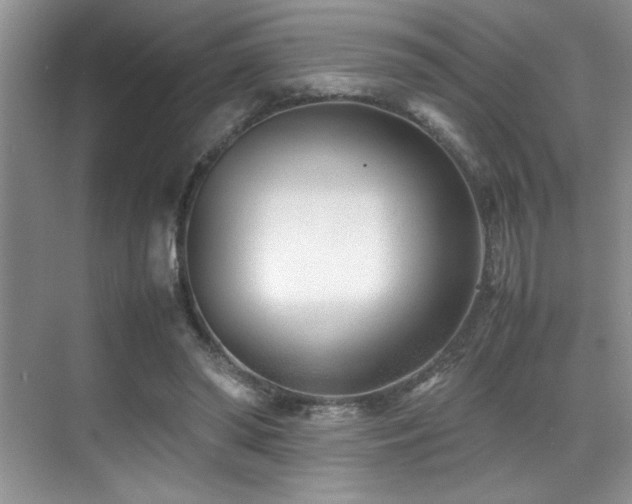 X0000070390398200606091157