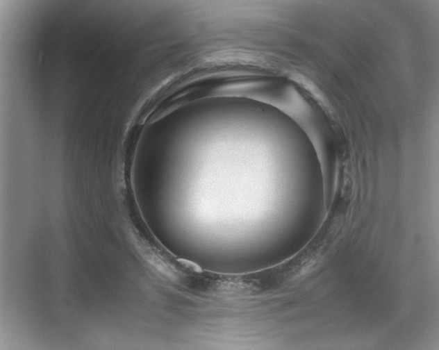 X0000070390399200606091157