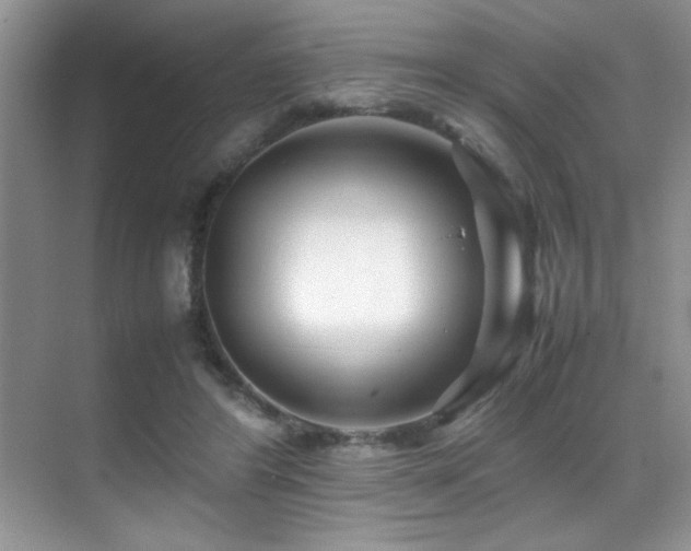 X0000070390404200606091157